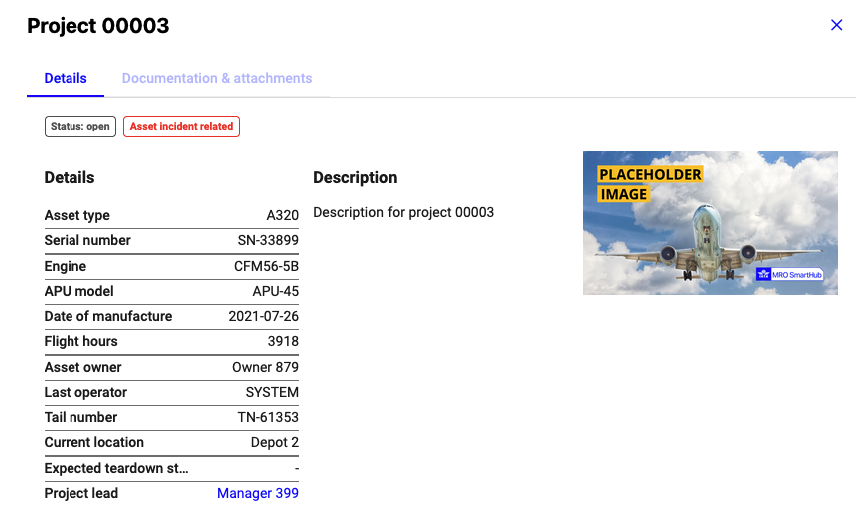 Details of an Asset Manager project